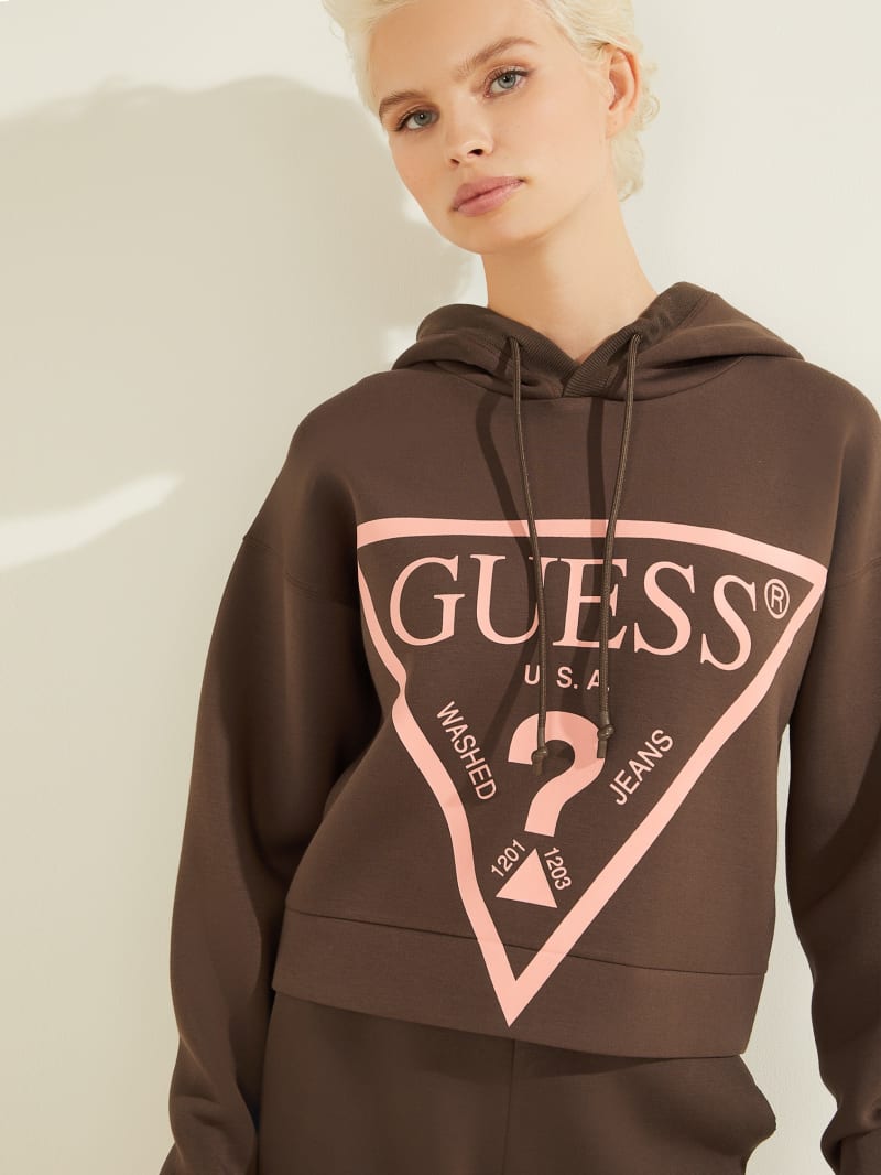 Guess Eco Alisa Logo Hoodie Dames Chocola | 4725-SZVYR